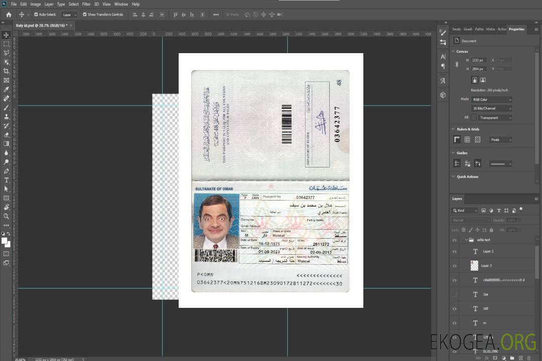 Passeport d'Oman 2023-présent template Passeport d'Oman 2023-présent template